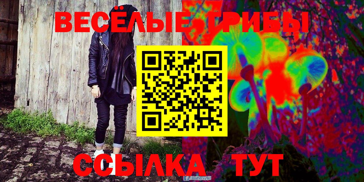 Галлюциногенные грибы Cubensis Чернушка